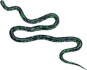 snake2.gif (17311 bytes)