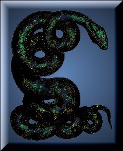 snake3.jpg (21489 bytes)